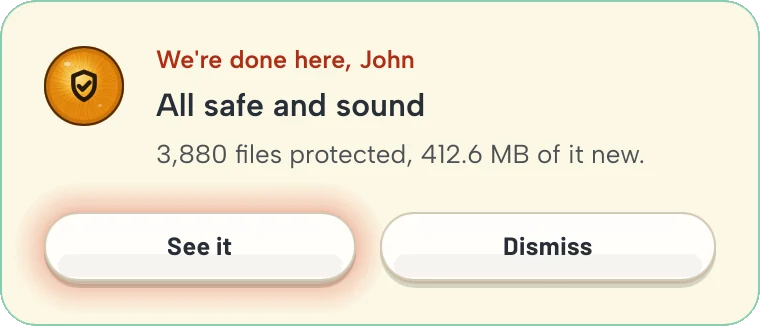 A notification: We're done here, John. All safe and sound. 3,880 files protected.